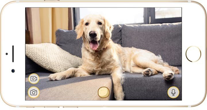 Furbo dog camera